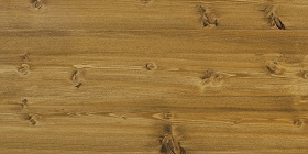 Jednorázová lazura HS Plus 9241